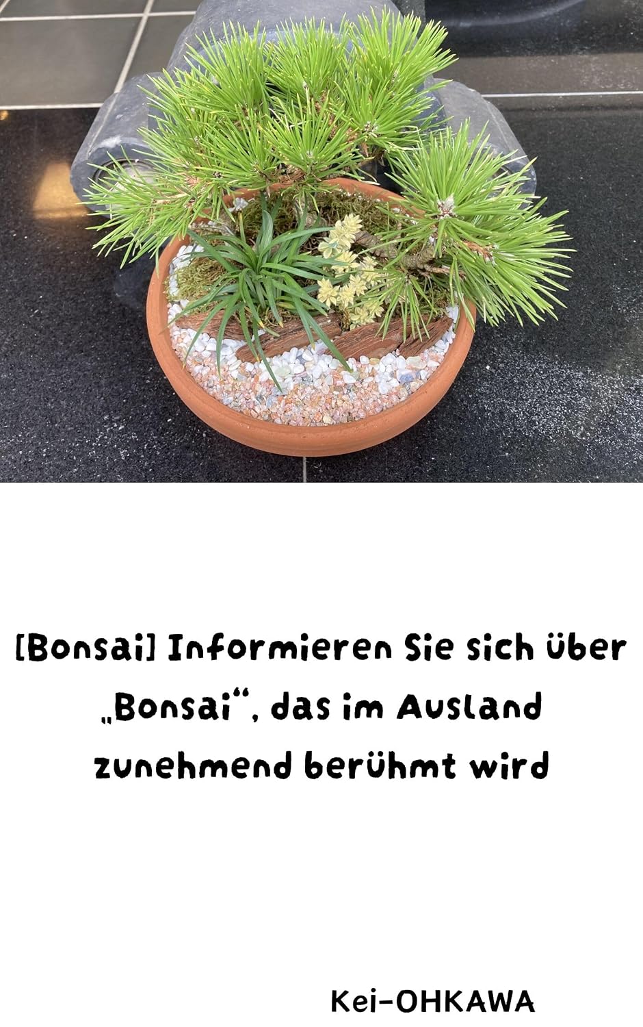 [Bonsai] Informieren Sie sich über „Bonsai“, das im Ausland zunehmend berühmt wird (German Edition) baixar livro de graça