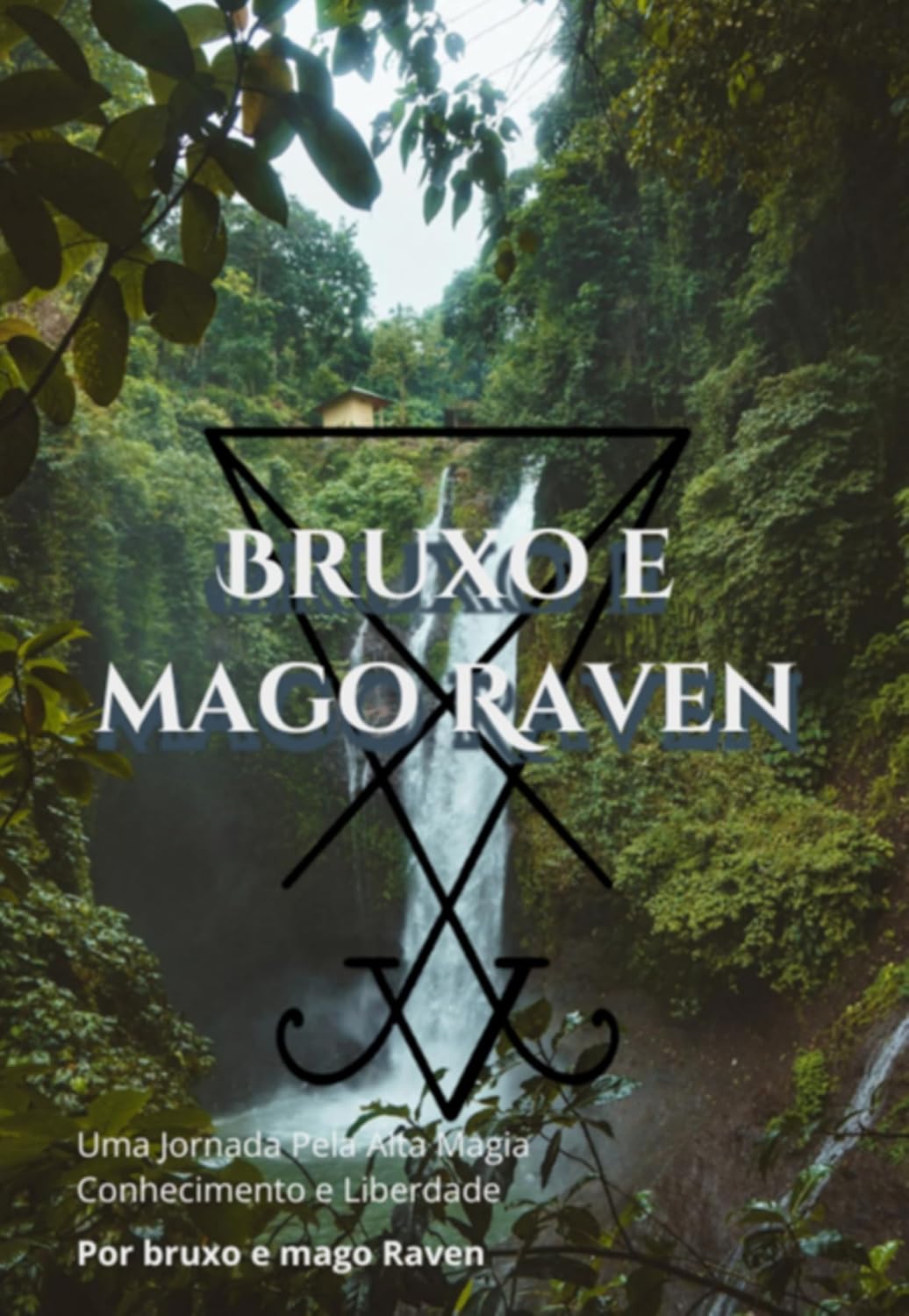 ler totalmente Bruxo E Mago Raven