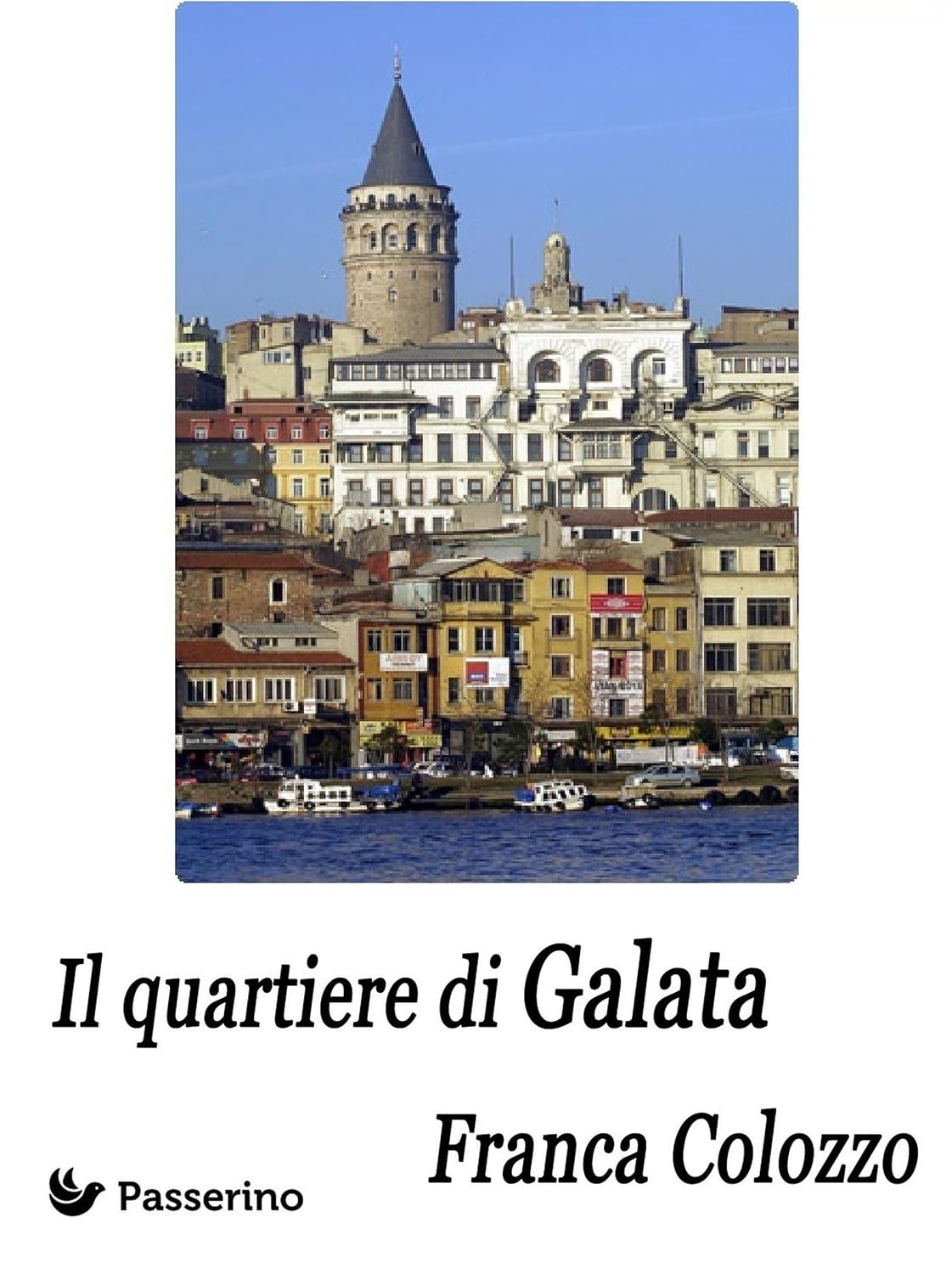 ler totalmente Il quartiere di Galata: Dalle mie impressioni di viaggio e di permanenza per motivi di lavoro a Istanbul (Italian Edition)