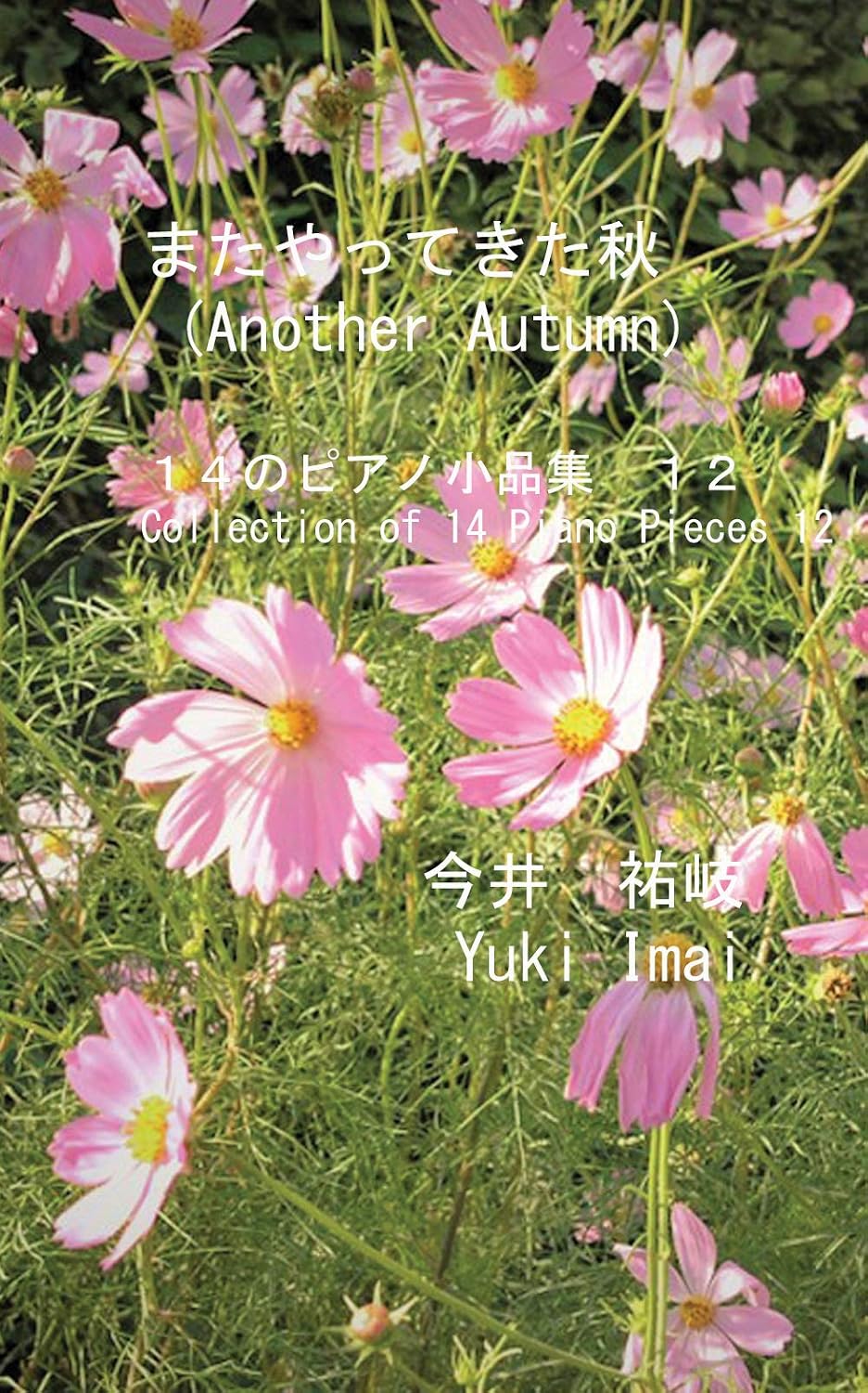 またやってきた秋: １４のピアノ小品集　12 (English Edition) baixar o livro de graça