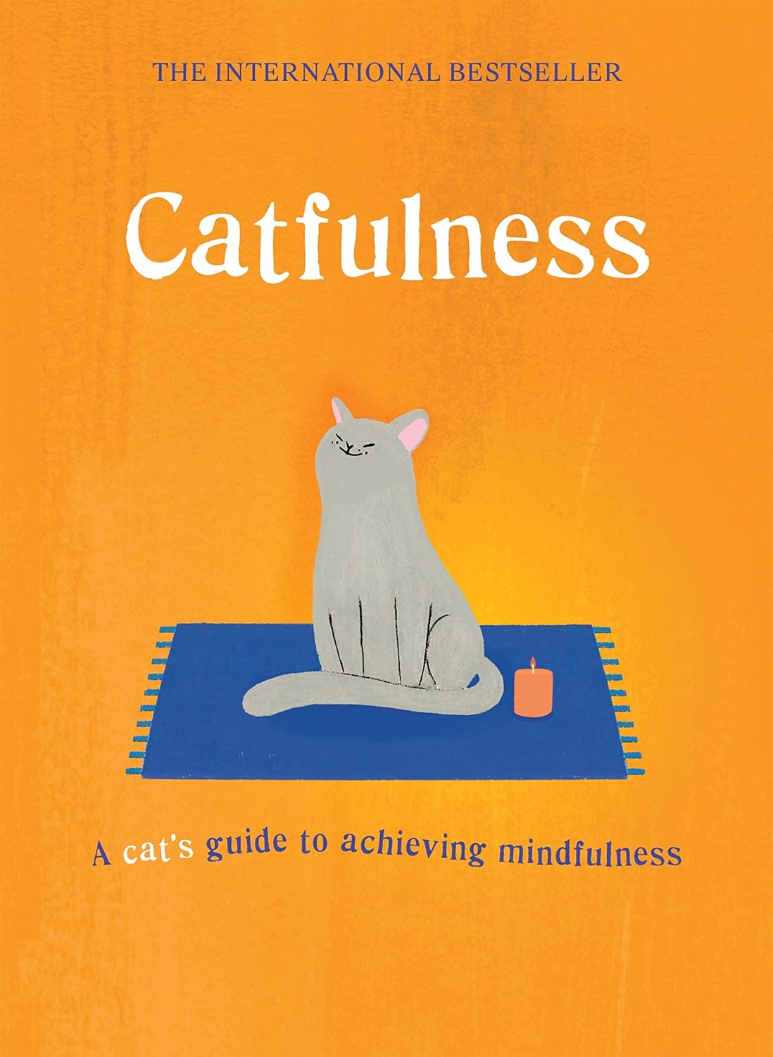 Catfulness: A cat's guide to achieving mindfulness (English Edition) baixar livro de graça