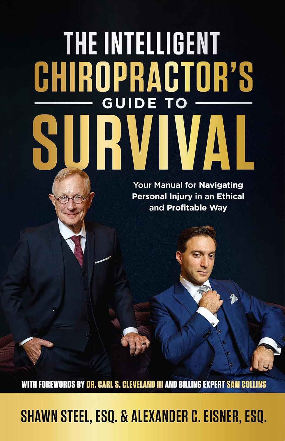 capítulo por capítulo baixar The Intelligent Chiropractor's Guide To Survival: Your Manual for Navigating Personal Injury in an Ethical and Profitable Way (English Edition)