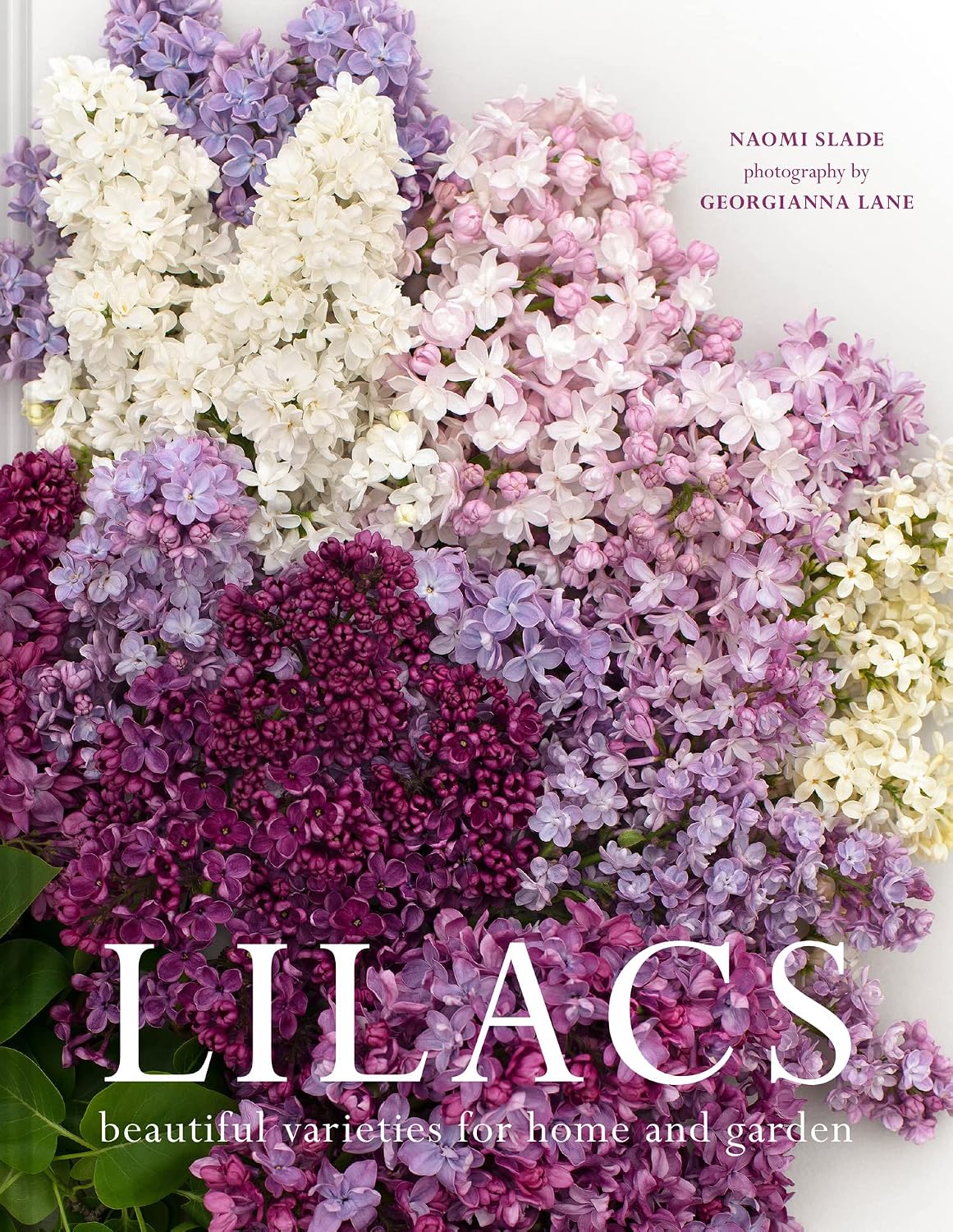 Lilacs: The ultimate flower guide for growing, flowering and cutting varieties for the home and gardening (English Edition) baixar o livro de graça
