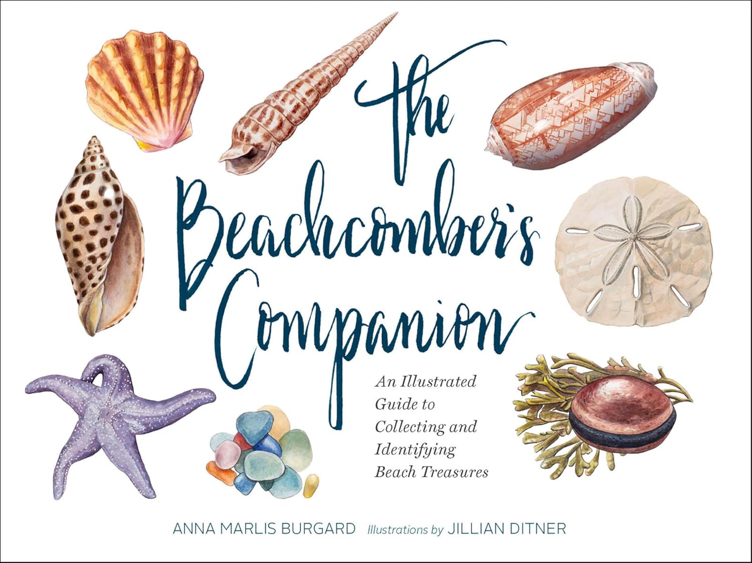 ler totalmente The Beachcomber's Companion: An Illustrated Guide to Collecting and Identifying Beach Treasures (English Edition)