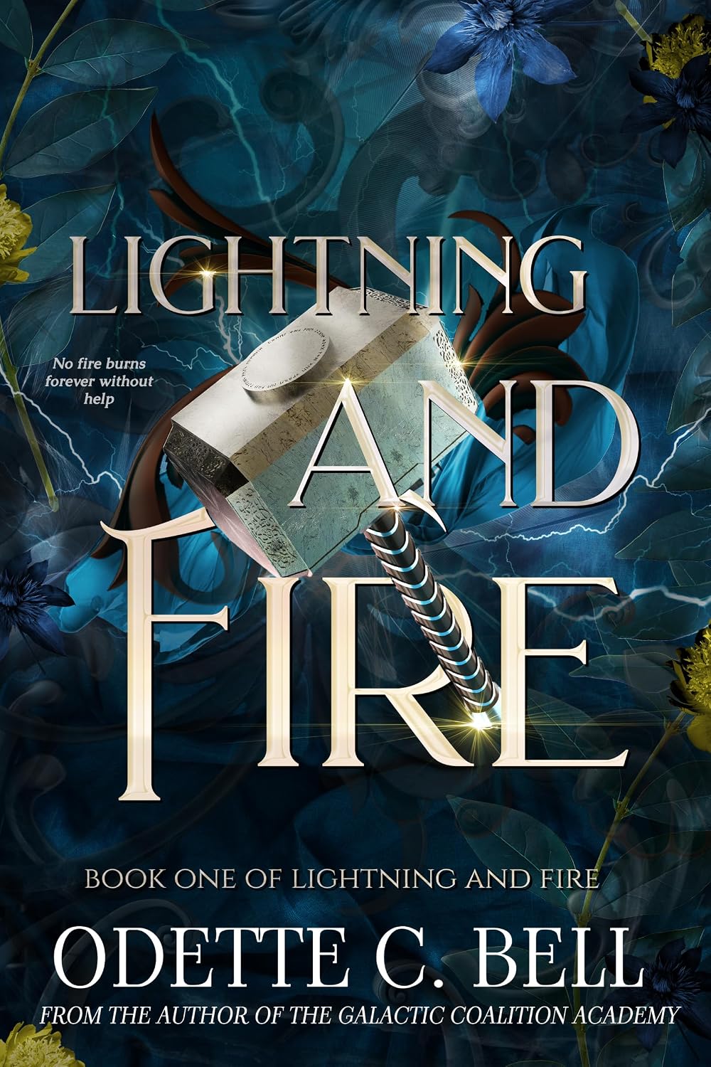 Lightning and Fire Book One (English Edition) baixar livro de graça