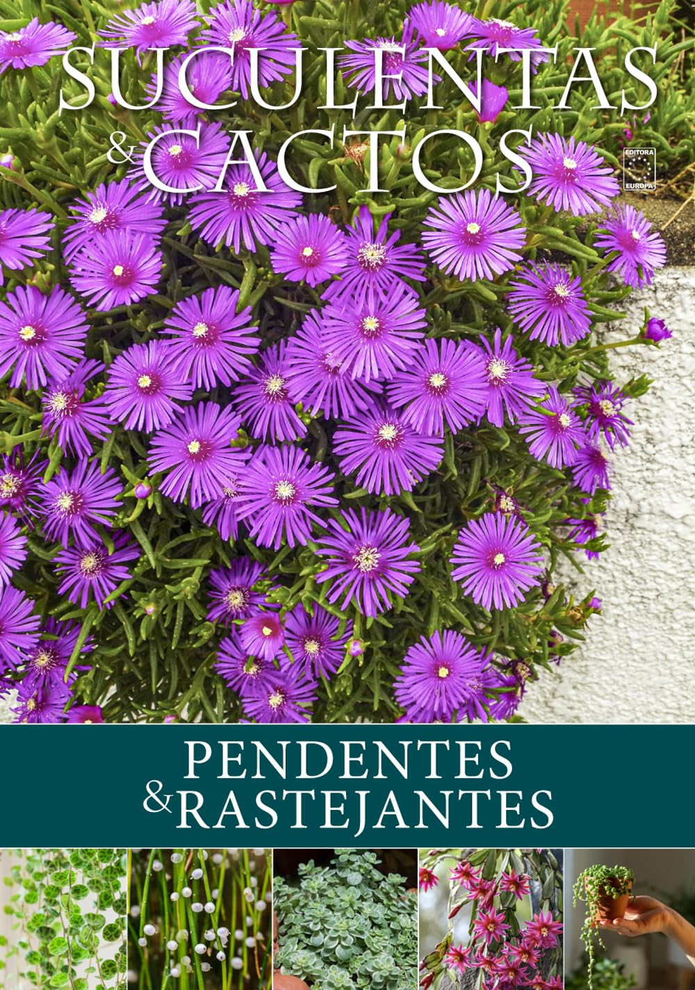Suculentas e Cactos: Pendentes & Rastejantes baixar o livro de graça