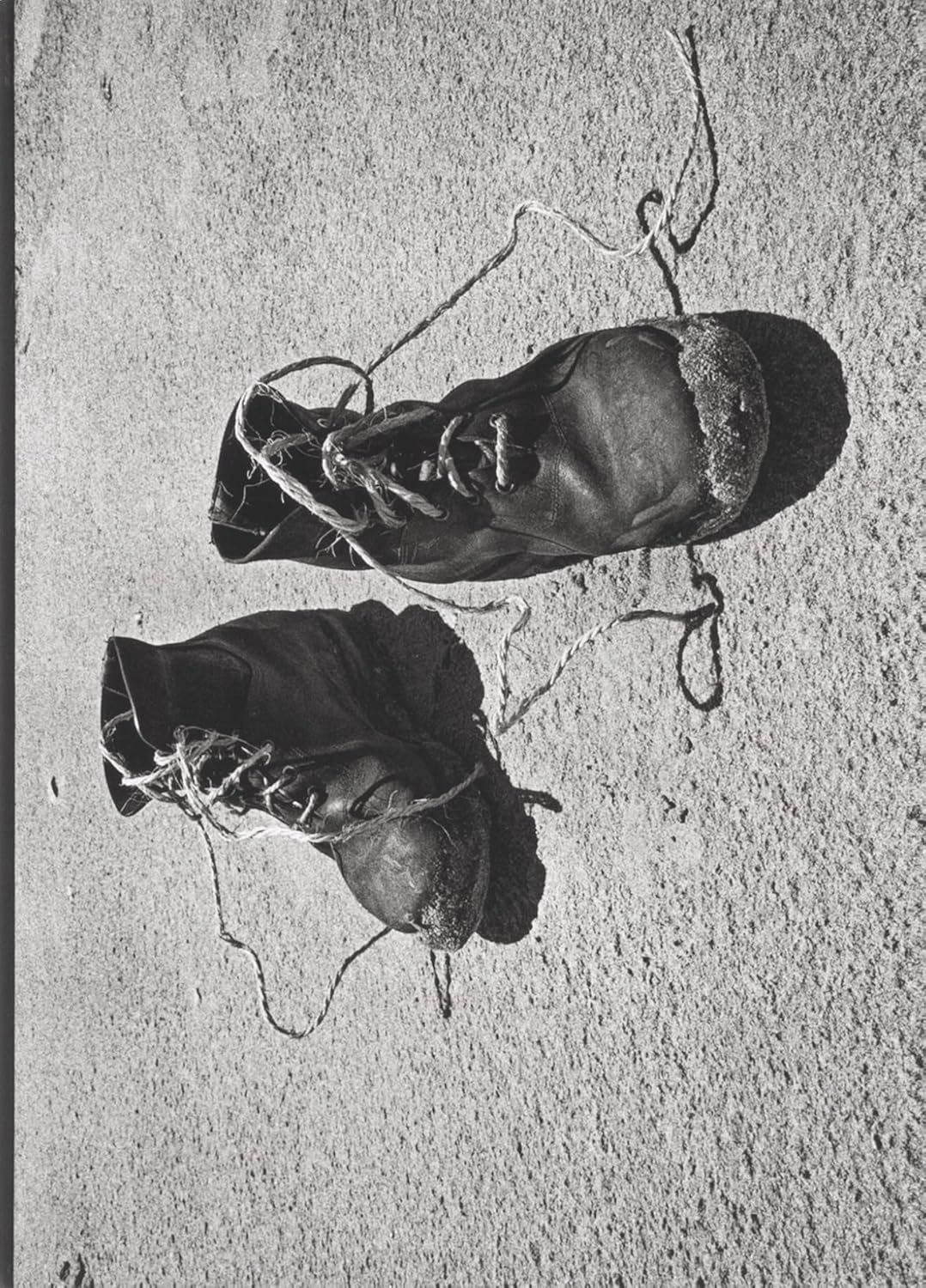 Josef Koudelka: Diaries baixar o livro de graça