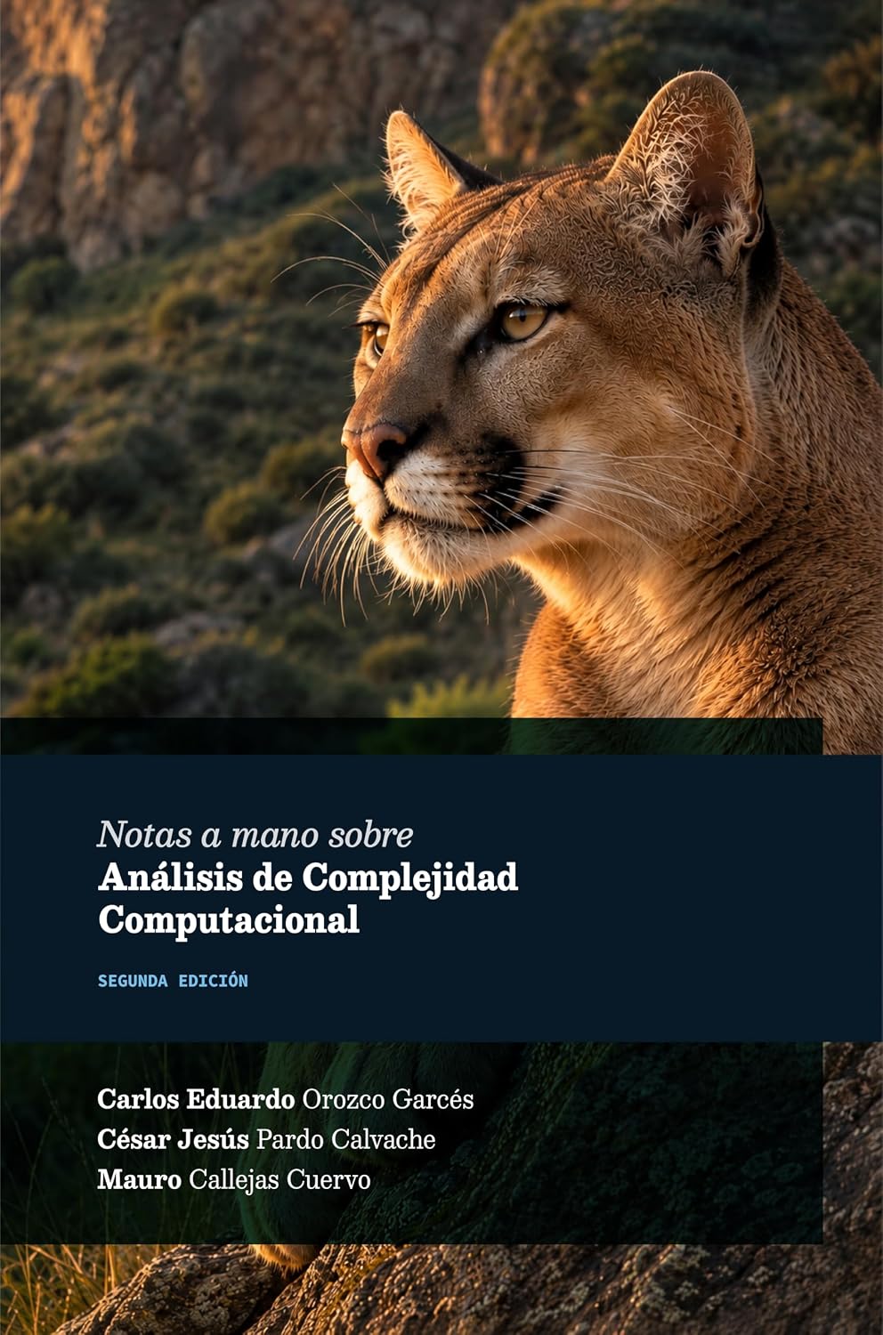 Notas a mano sobre análisis de complejidad computacional (Notas a mano para ingenieros nº 3) (Spanish Edition) baixar livro de graça