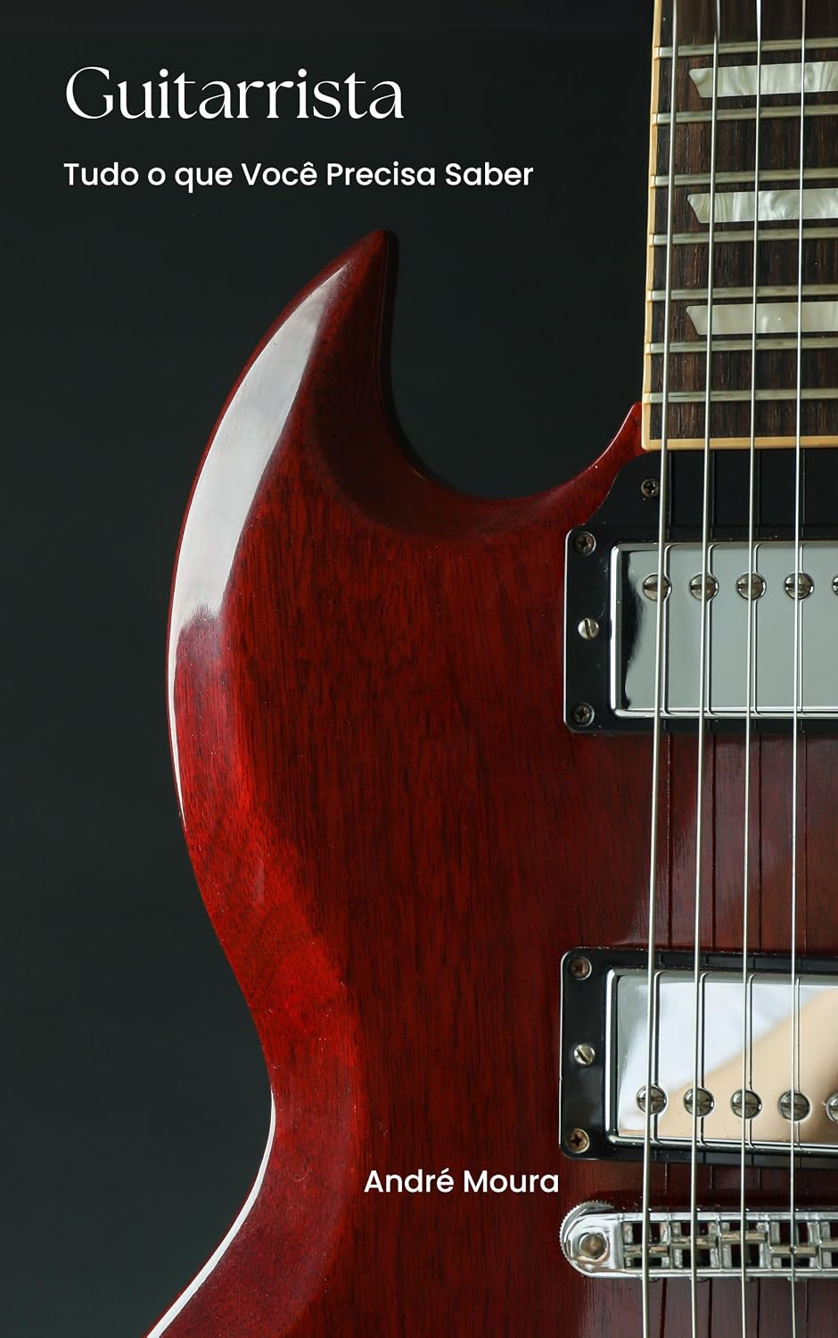 Guitarrista: Guia de Equipamentos para Guitarra baixar livro de graça