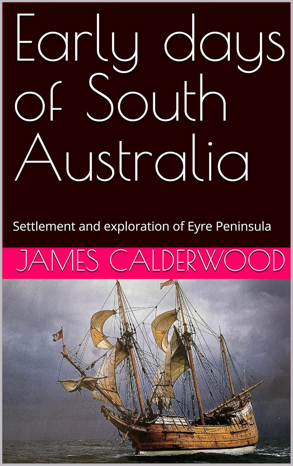 Early days of South Australia: Settlement and exploration of Eyre Peninsula (English Edition) baixar livro de graça