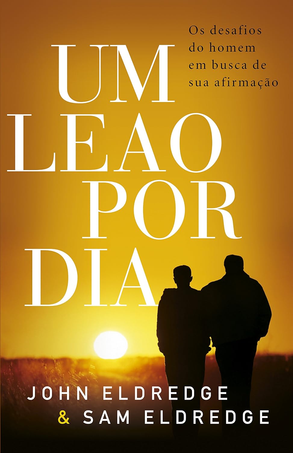 Um leão por dia: Os desafios do homem em busca de sua afirmação baixar o livro de graça