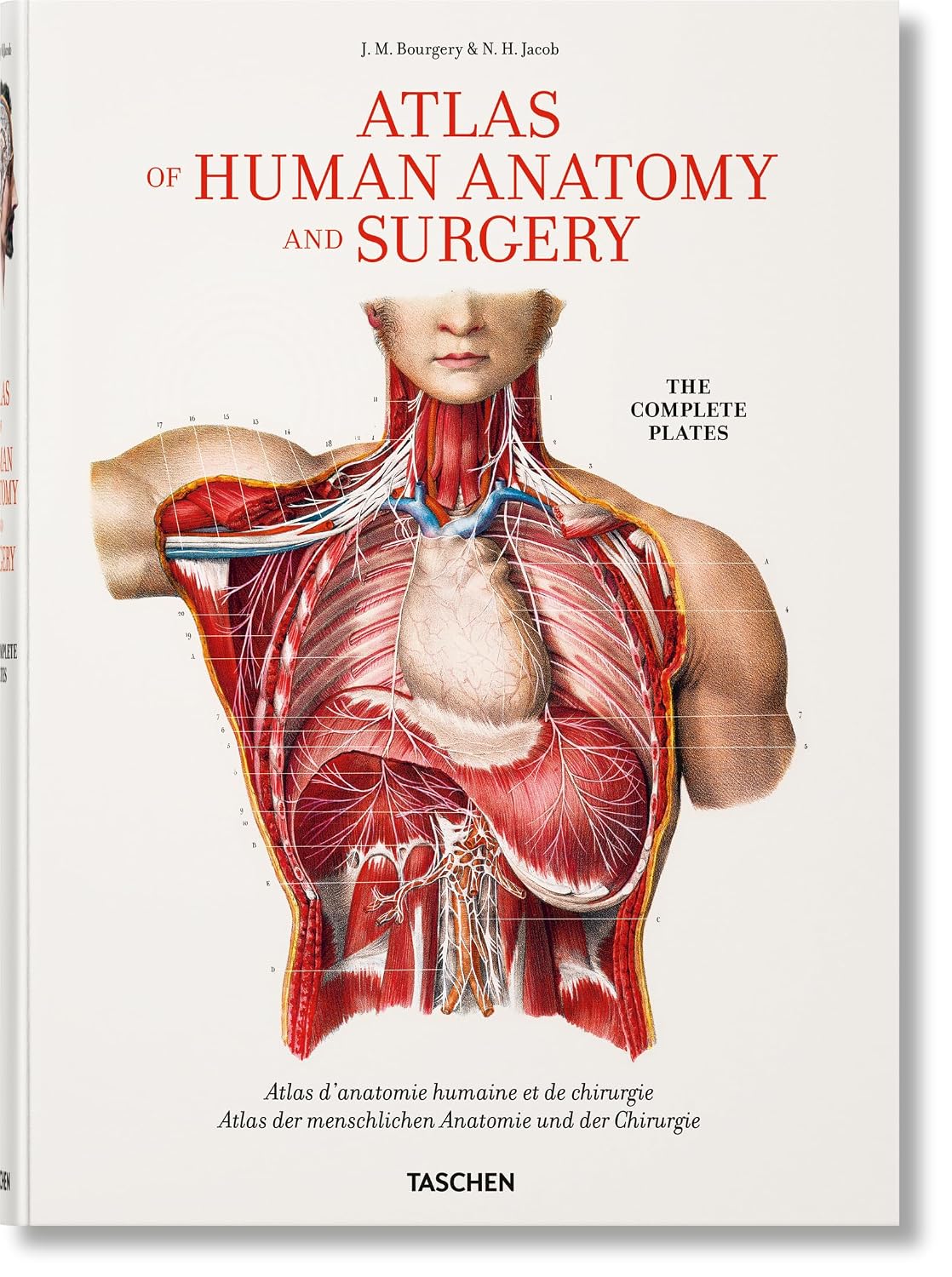 Bourgery. Atlas of Human Anatomy and Surgery: The Complete Plates baixar o livro de graça