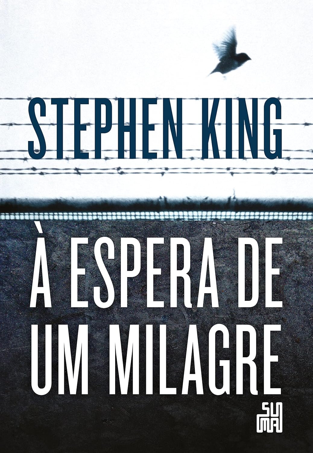 À espera de um milagre baixar livro de graça