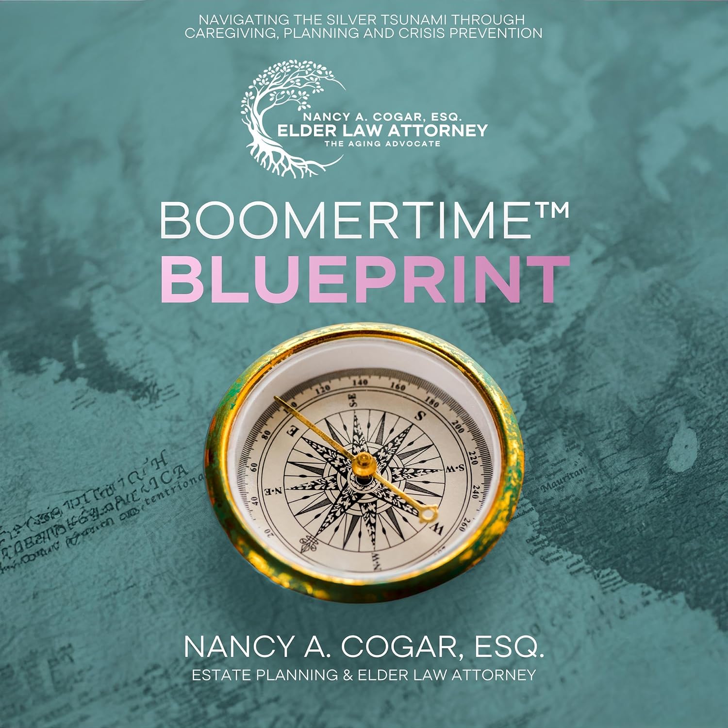 BoomerTime™ Blueprint: A Compassionate Guide to Aging, Caregiving, and What Every Family Needs to Know Before It Becomes a Crisis baixar o livro de graça