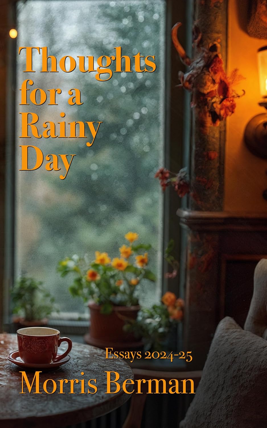 Thoughts for a Rainy Day: Essays 2024-25 (English Edition) baixar livro de graça