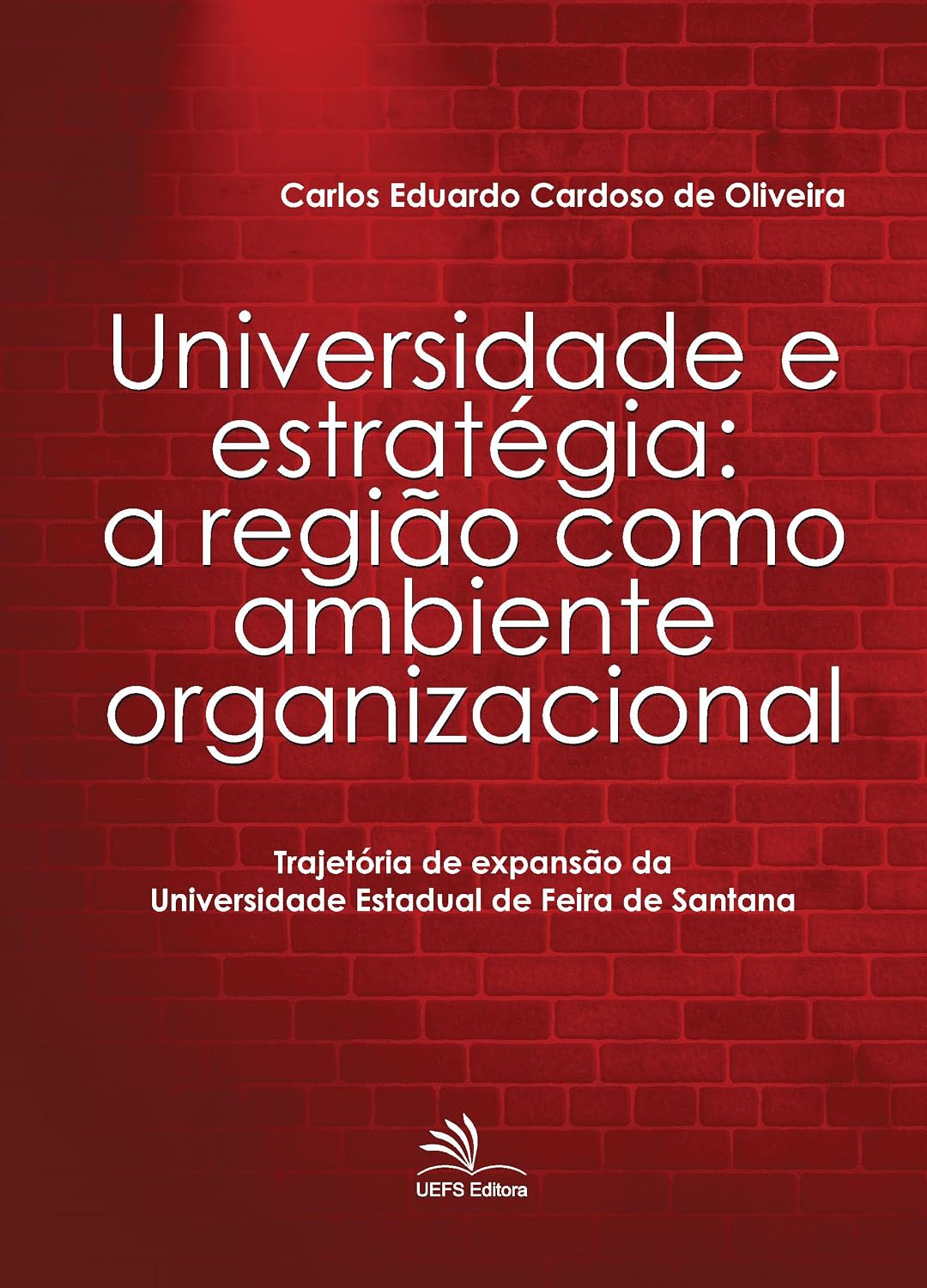 capítulo por capítulo baixar Universidade e estratégia: a região como ambiente organizacional