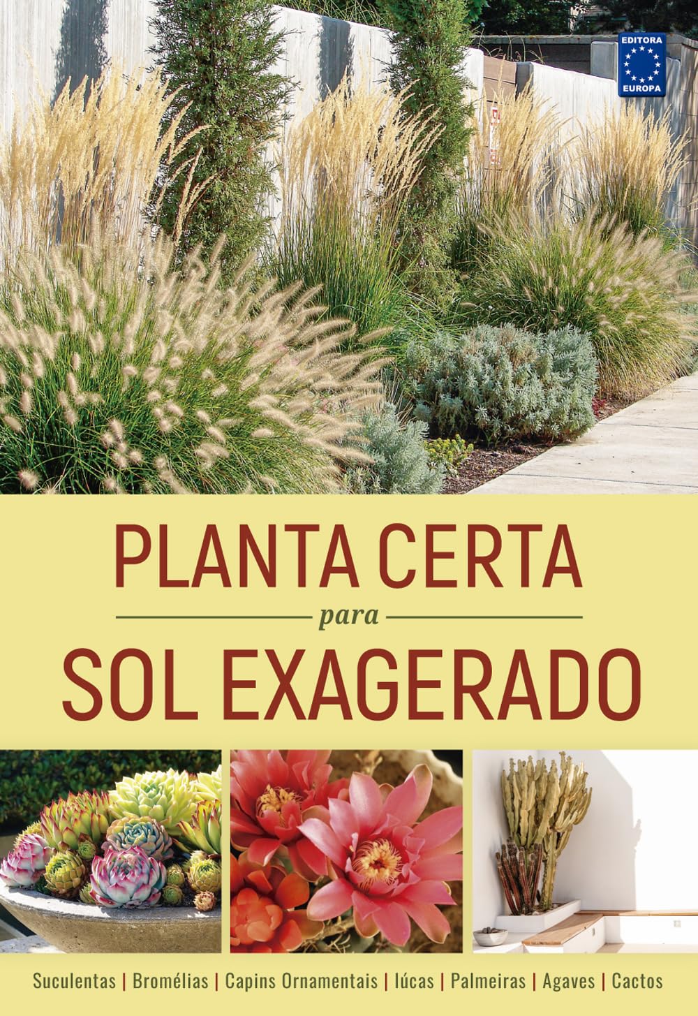 Planta Certa para Sol Exagerado baixar livro de graça