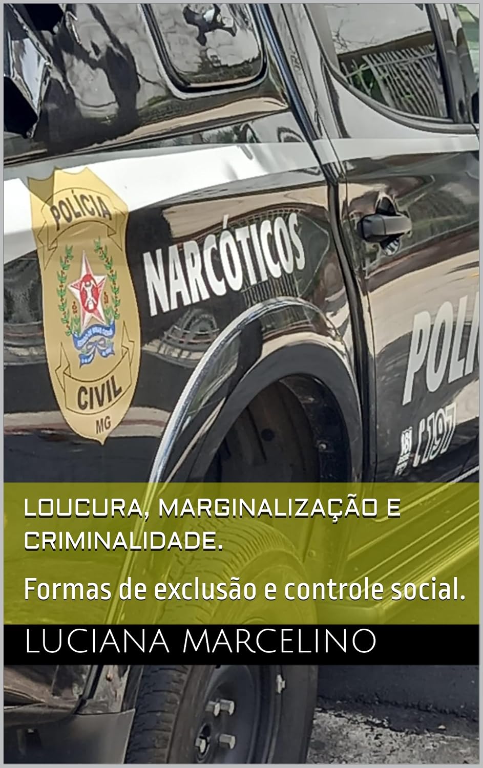 Loucura, marginalização e criminalidade.: Formas de exclusão e controle social. baixar o livro de graça