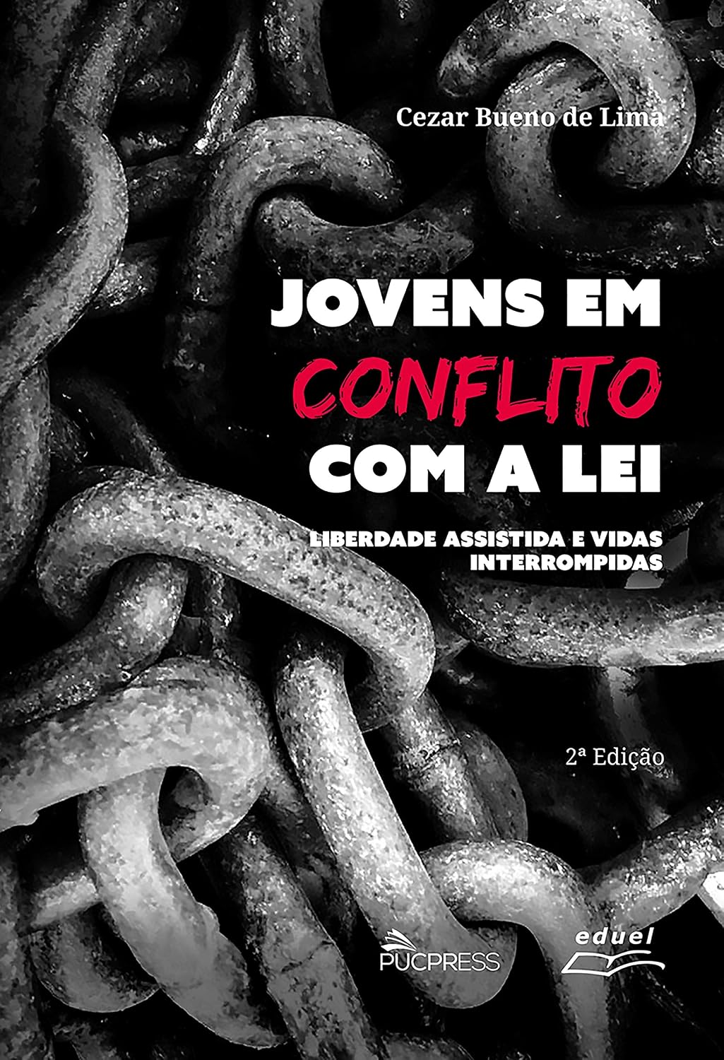 Jovens em conflito com a lei: liberdade assistida e vidas interrompidas baixar o livro de graça