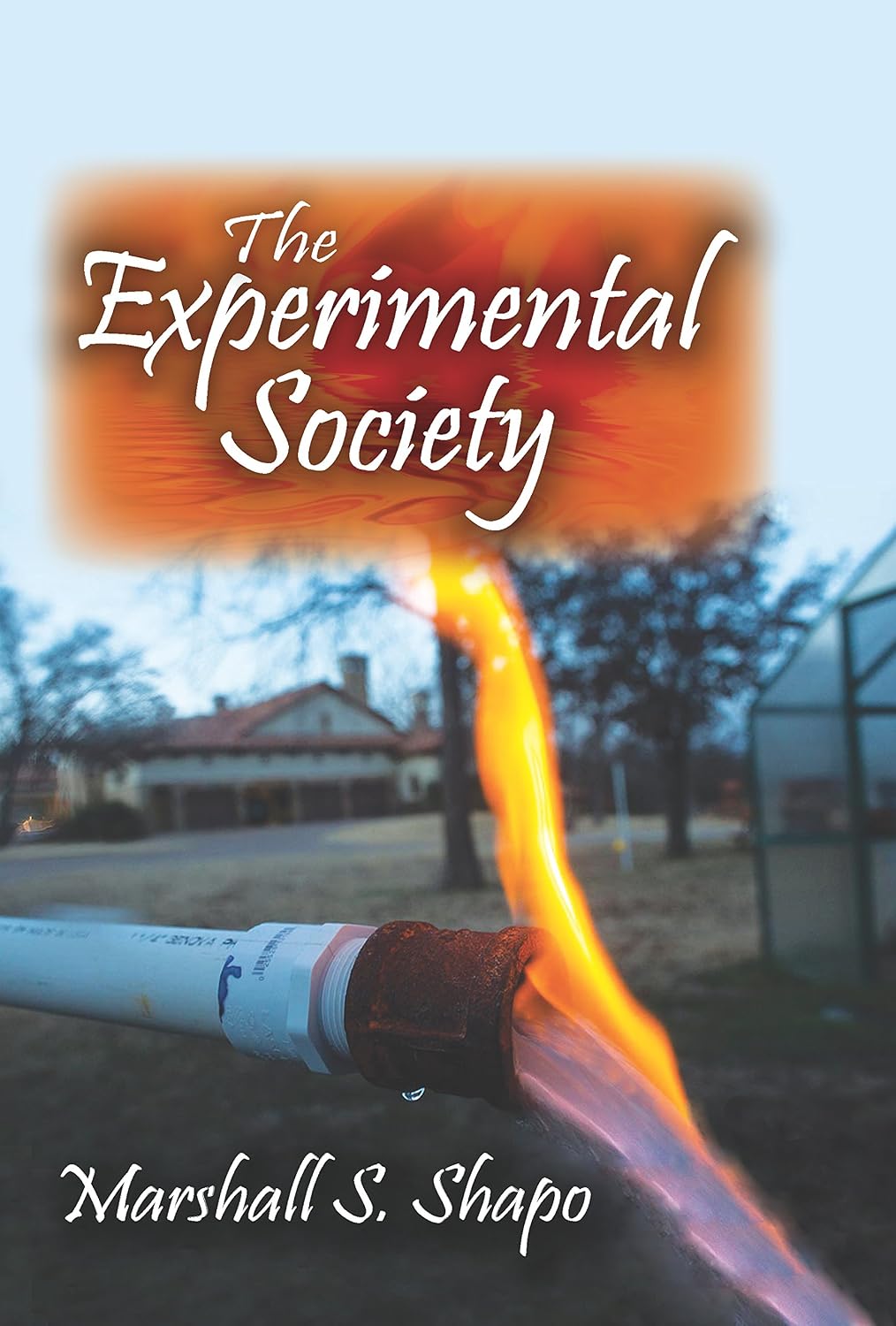 ler totalmente The Experimental Society (English Edition)