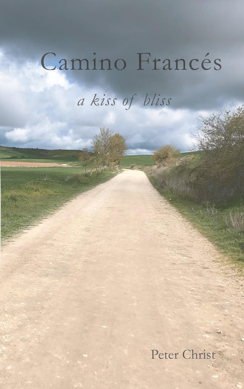 ler totalmente Camino Francés: A Kiss of Bliss (German Edition)