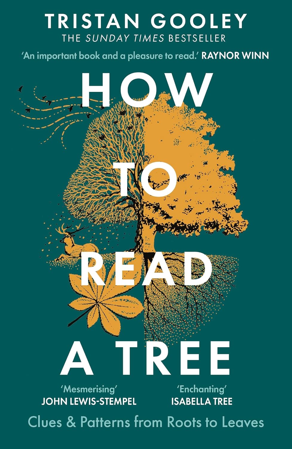capítulo por capítulo baixar How to Read a Tree: A must-have for all nature lovers - perfect reading for your summer walks (English Edition)
