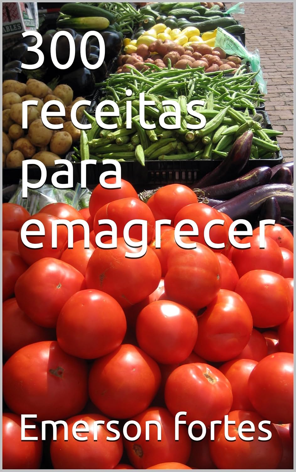 ler totalmente 300 receitas para emagrecer