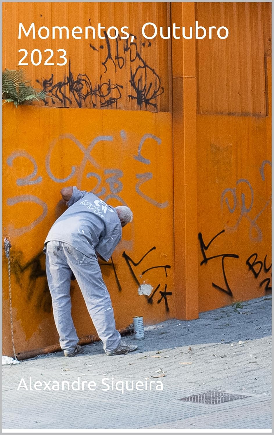 capítulo por capítulo baixar Momentos, Outubro 2023 (Alexandre Siqueira, Street Photography)