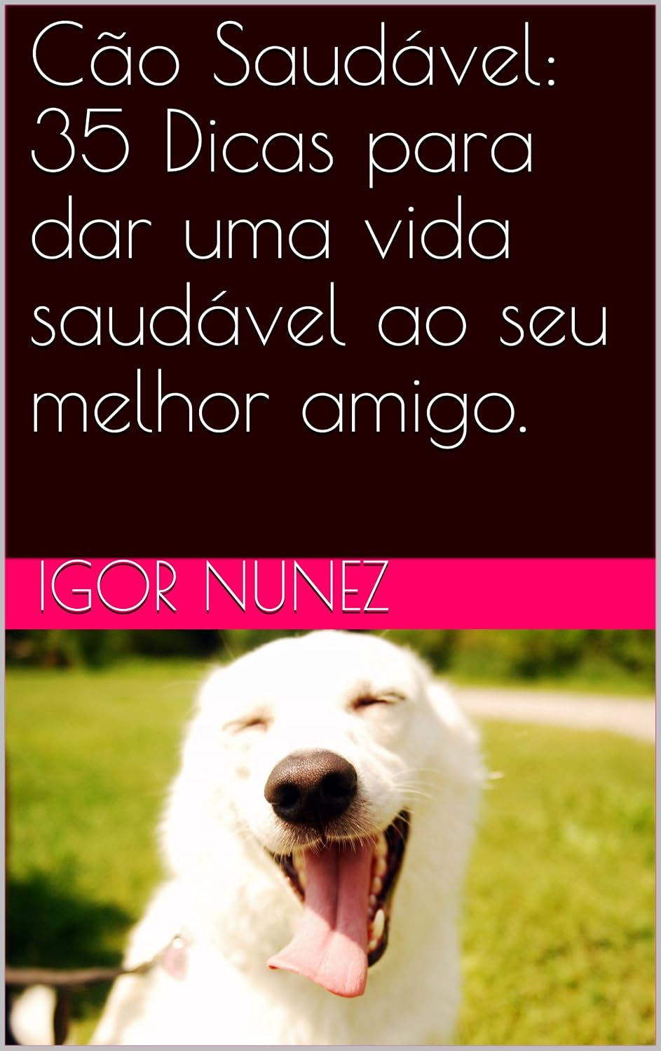 ler totalmente Cão Saudável: 35 Dicas para dar uma vida saudável ao seu melhor amigo.