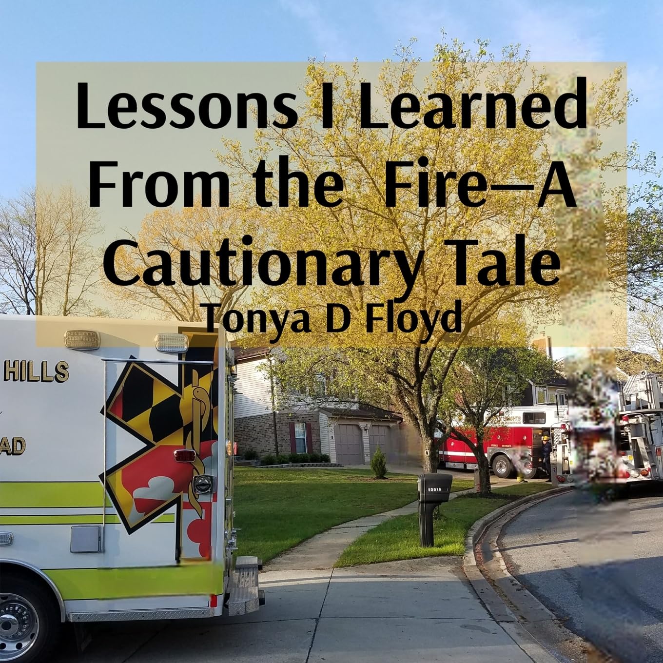 ler totalmente Lessons I Learned From the Fire-A Cautionary Tale
