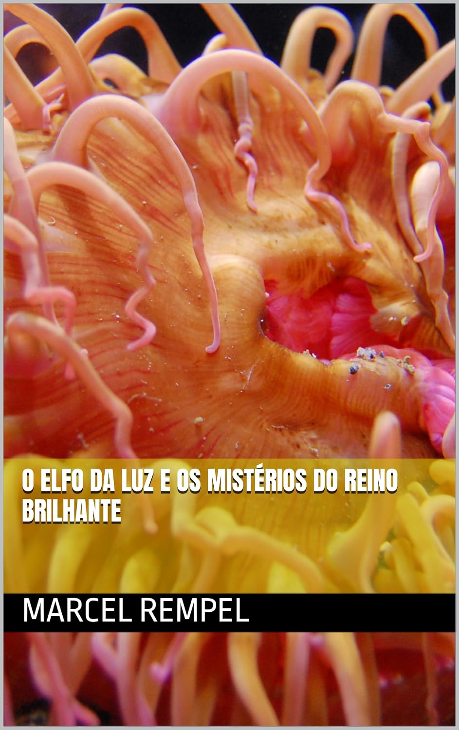 O Elfo da Luz e os Mistérios do Reino Brilhante baixar o livro de graça