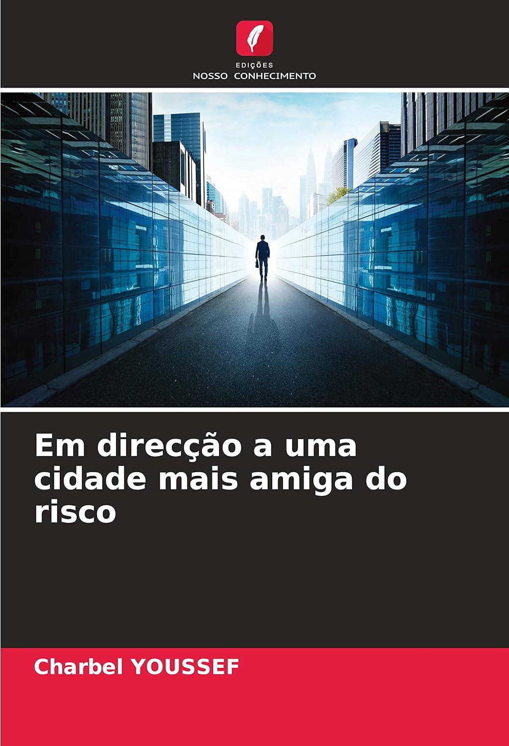 Em direcção a uma cidade mais amiga do risco baixar livro de graça