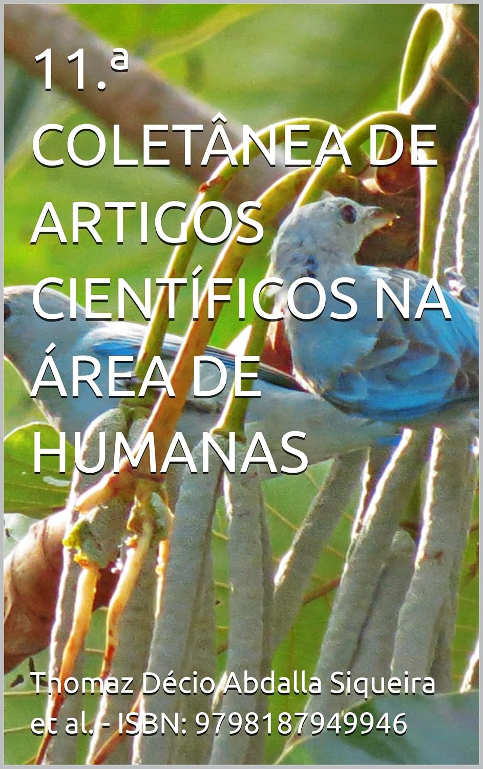 11.ª COLETÂNEA DE ARTIGOS CIENTÍFICOS NA ÁREA DE HUMANAS baixar livro de graça