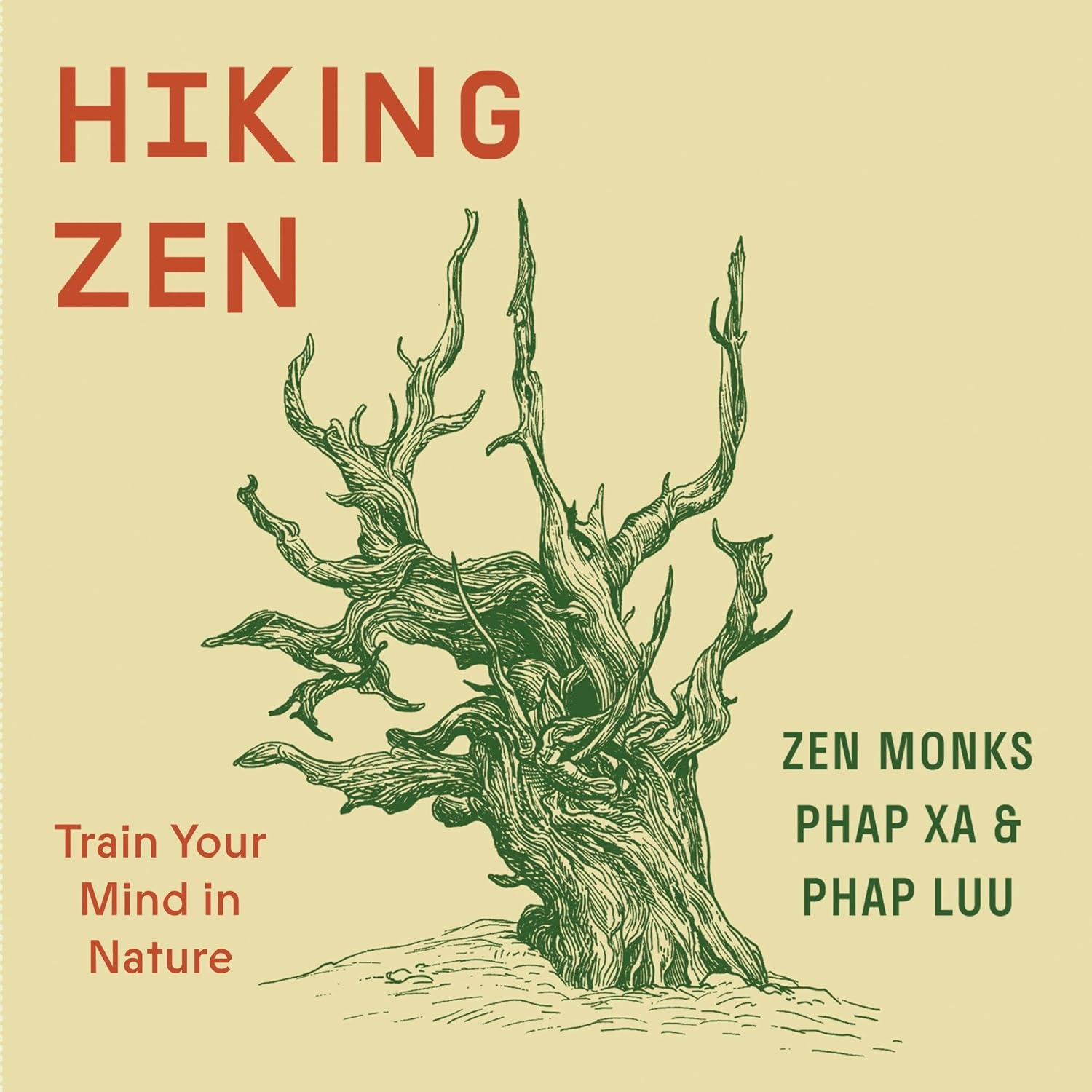 Hiking Zen: Train Your Mind in Nature baixar o livro de graça