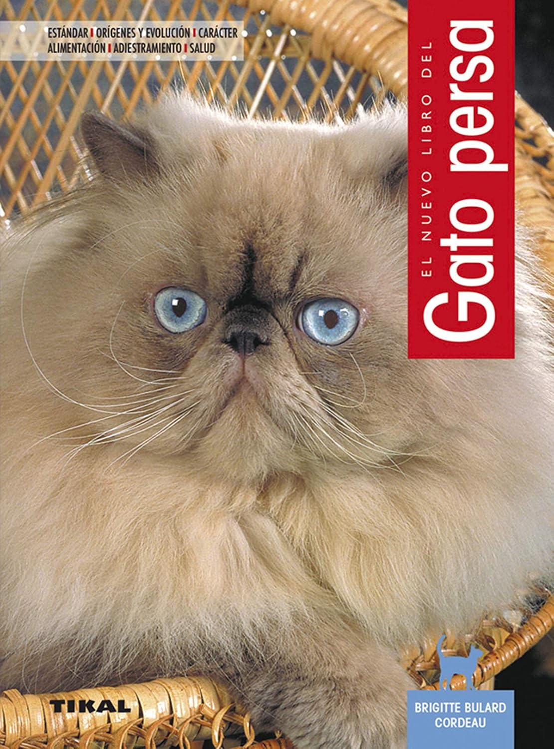 Gato persa