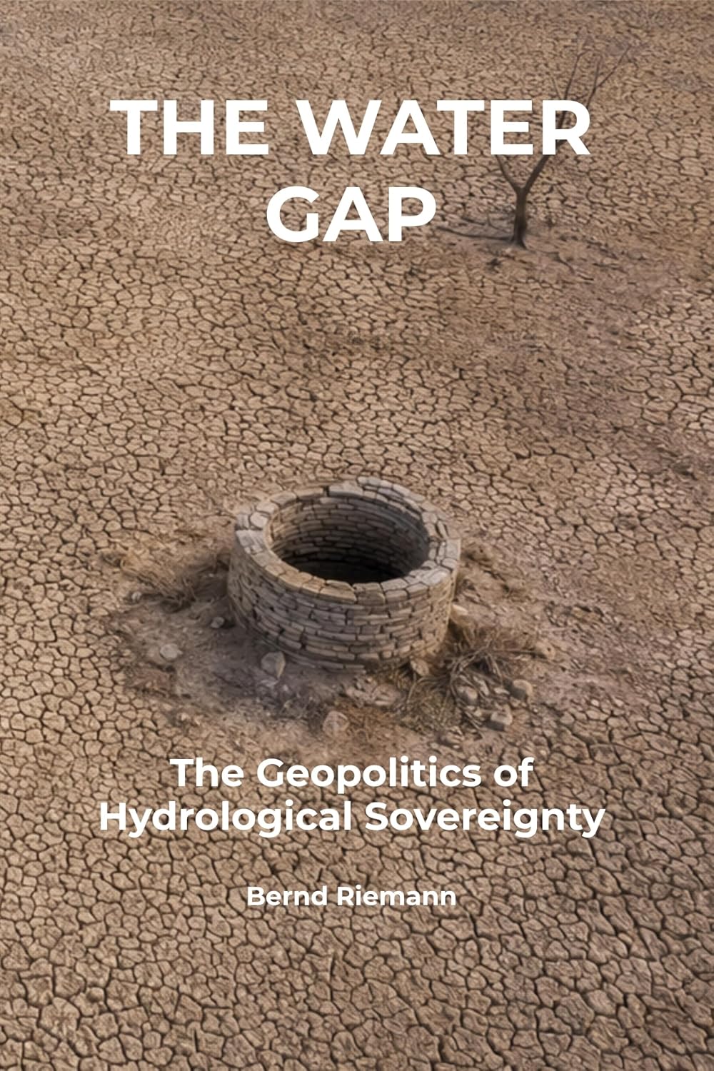 The Water Gap: The Geopolitics of Hydrological Sovereignty (English Edition) baixar livro de graça