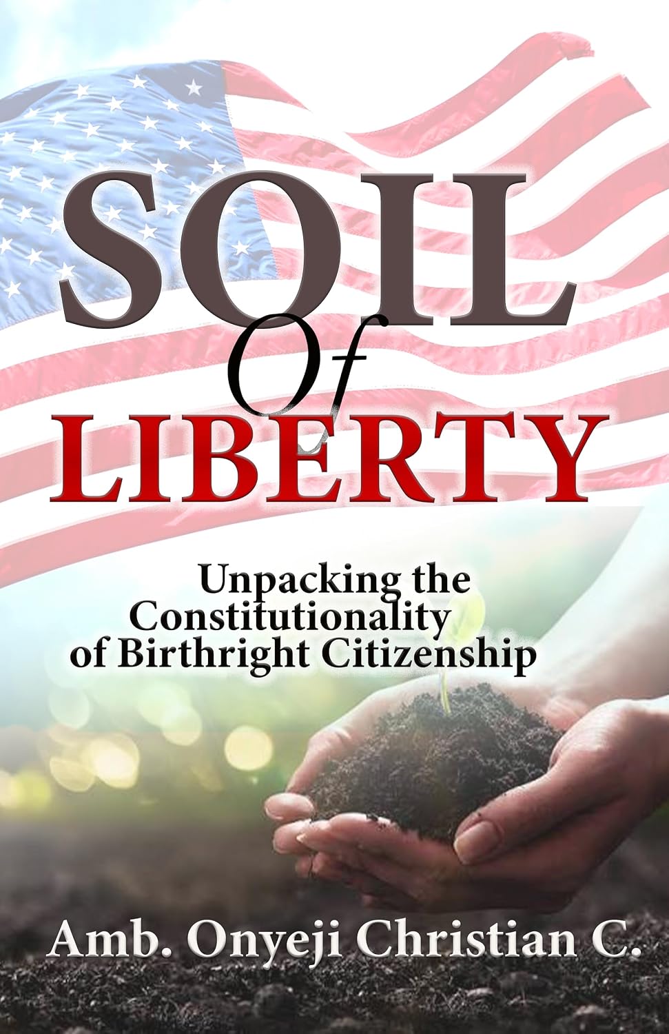 ler totalmente THE SOIL OF LIBERTY: UNPACKING THE CONSTITUTIONALITY OF BIRTHRIGHT CITIZENSHIP (English Edition)