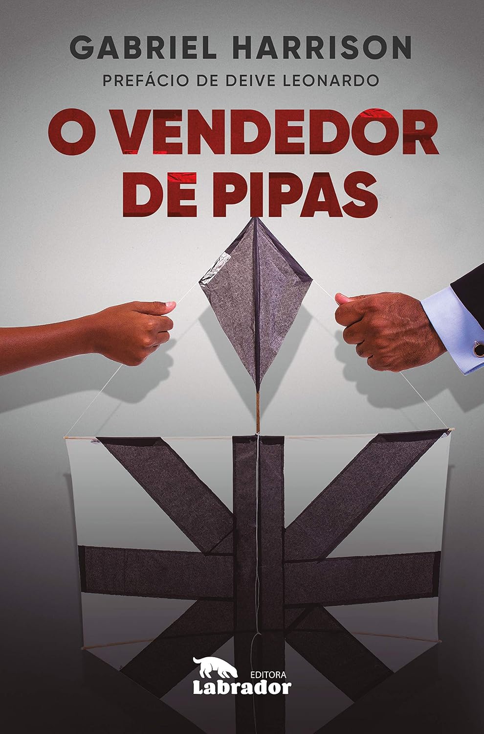 O vendedor de pipas baixar livro de graça