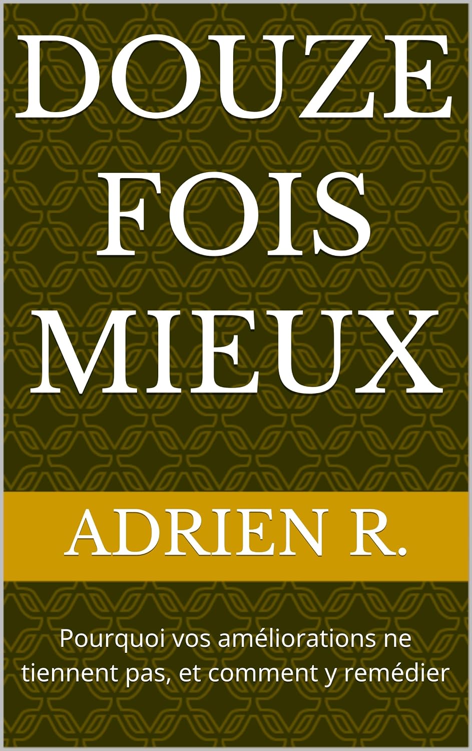 ler totalmente DOUZE FOIS MIEUX: Pourquoi vos améliorations ne tiennent pas, et comment y remédier (French Edition)