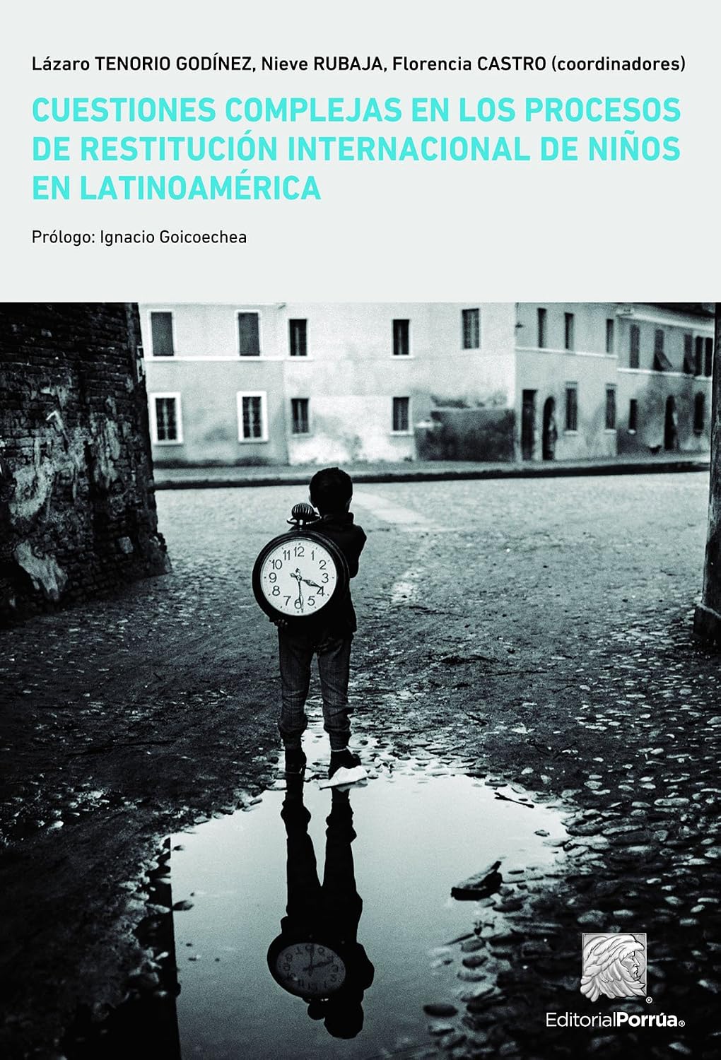 Cuestiones complejas en los procesos de restitución internacional de niños en latinoamérica (Spanish Edition) baixar o livro de graça
