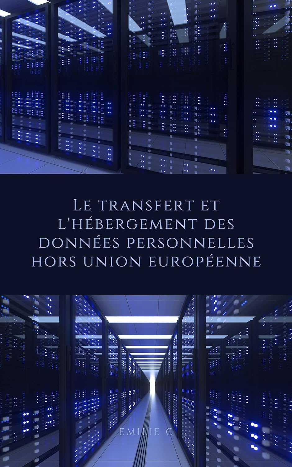 Le transfert et l'hébergement des données personnelles hors Union européenne (French Edition) baixar livro de graça