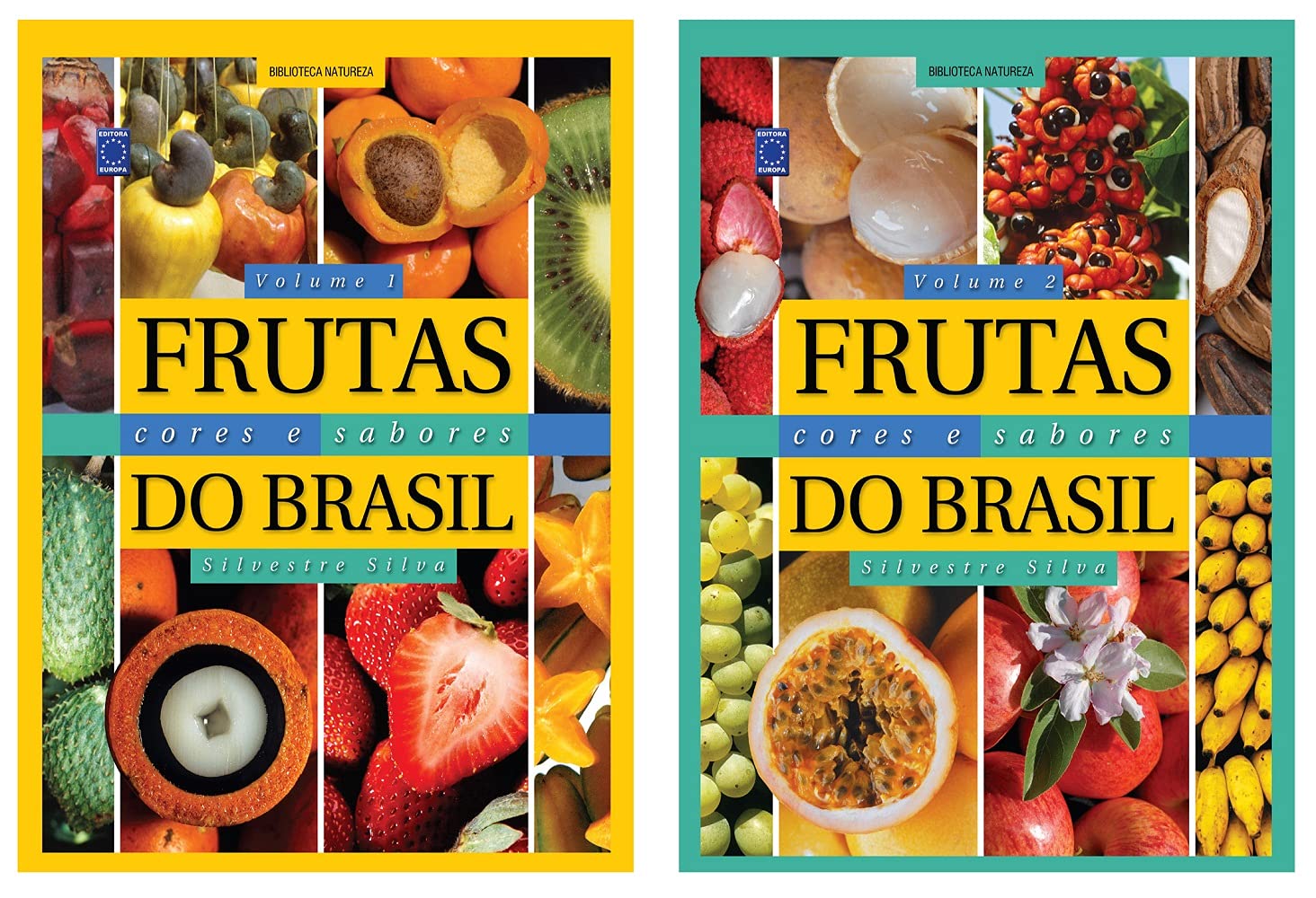 Frutas, Cores e Sabores do Brasil (Coleção - 2 volumes) baixar livro de graça