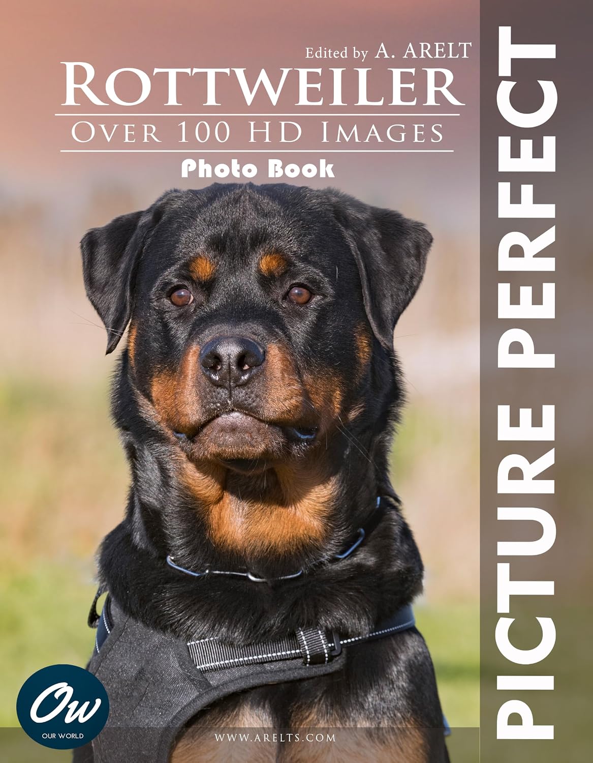 capítulo por capítulo baixar Rottweiler: Picture Perfect Photo Book: Over 100 HD images (English Edition)