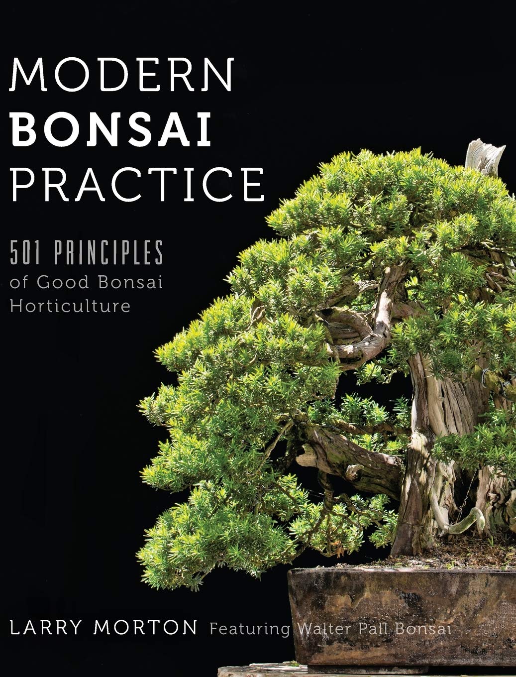 Modern Bonsai Practice: 501 Principles of Good Bonsai Horticulture baixar livro de graça