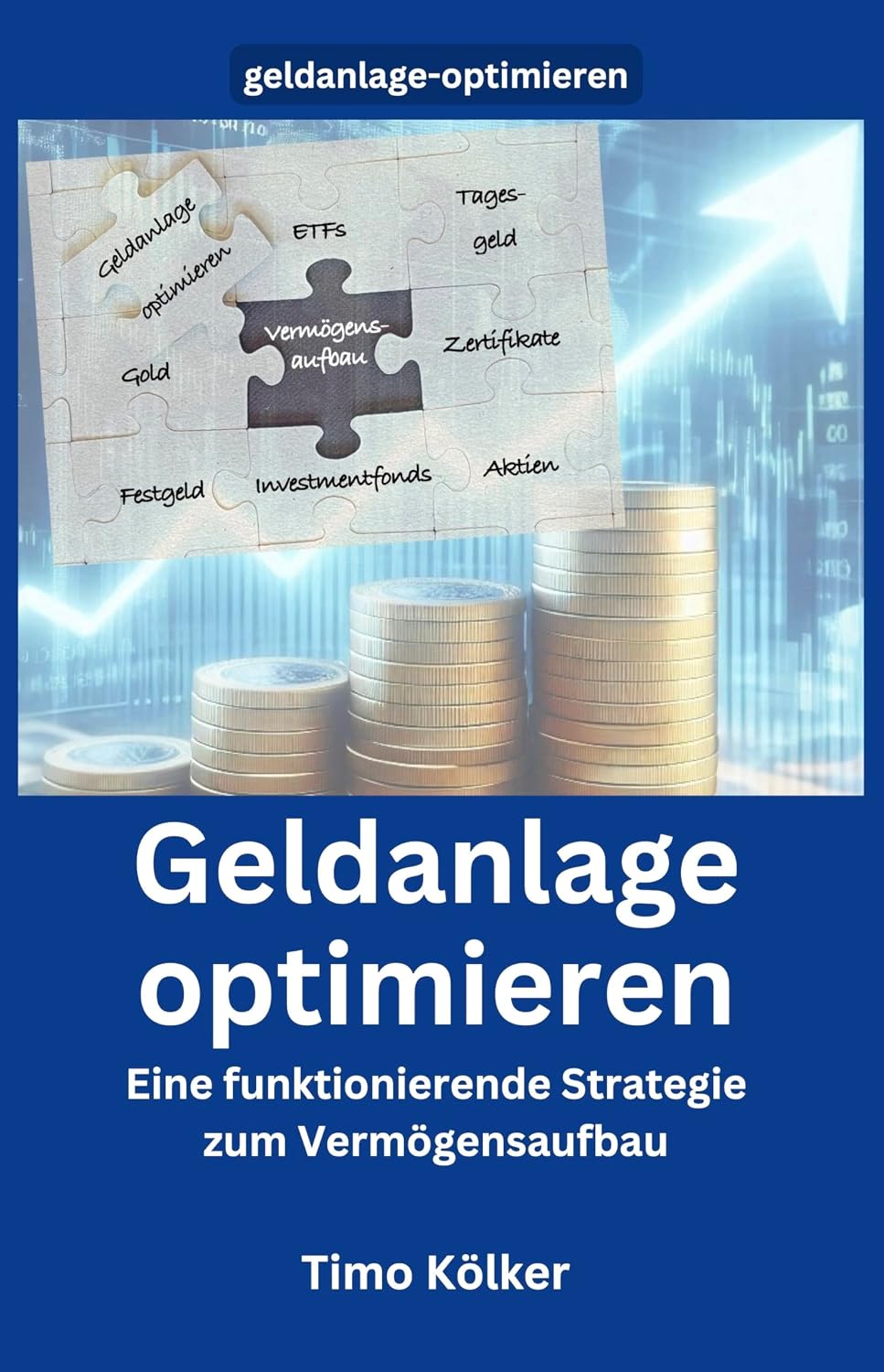 Geldanlage optimieren: Eine funktionierende Strategie zum Vermögensaufbau (German Edition) baixar livro de graça