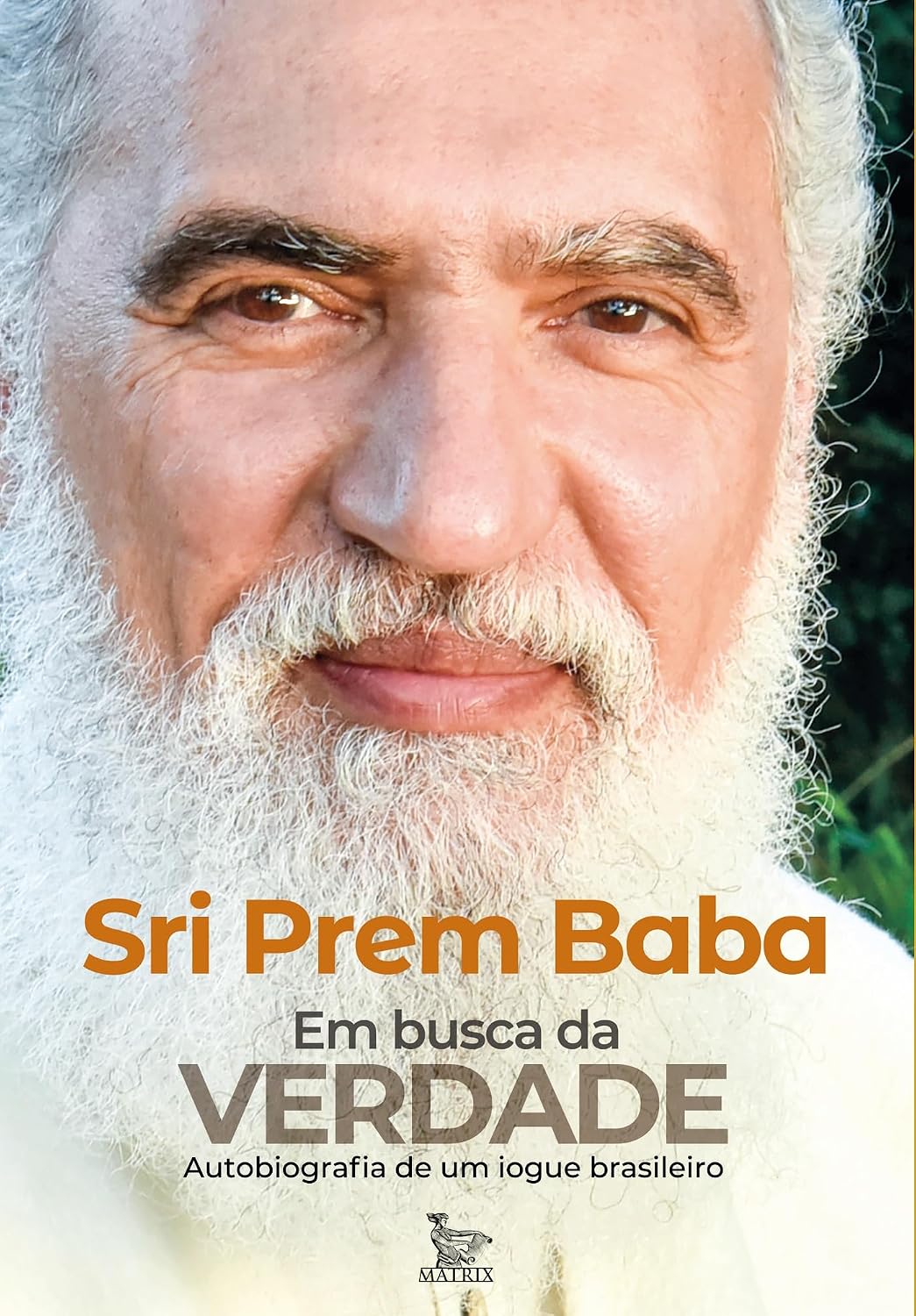 Em busca da verdade baixar o livro de graça