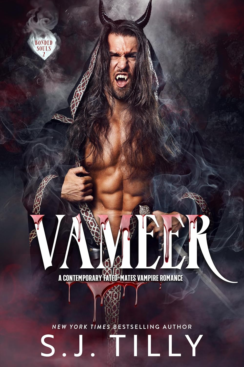 capítulo por capítulo baixar VAMEER: Bonded Souls Book Two (English Edition)