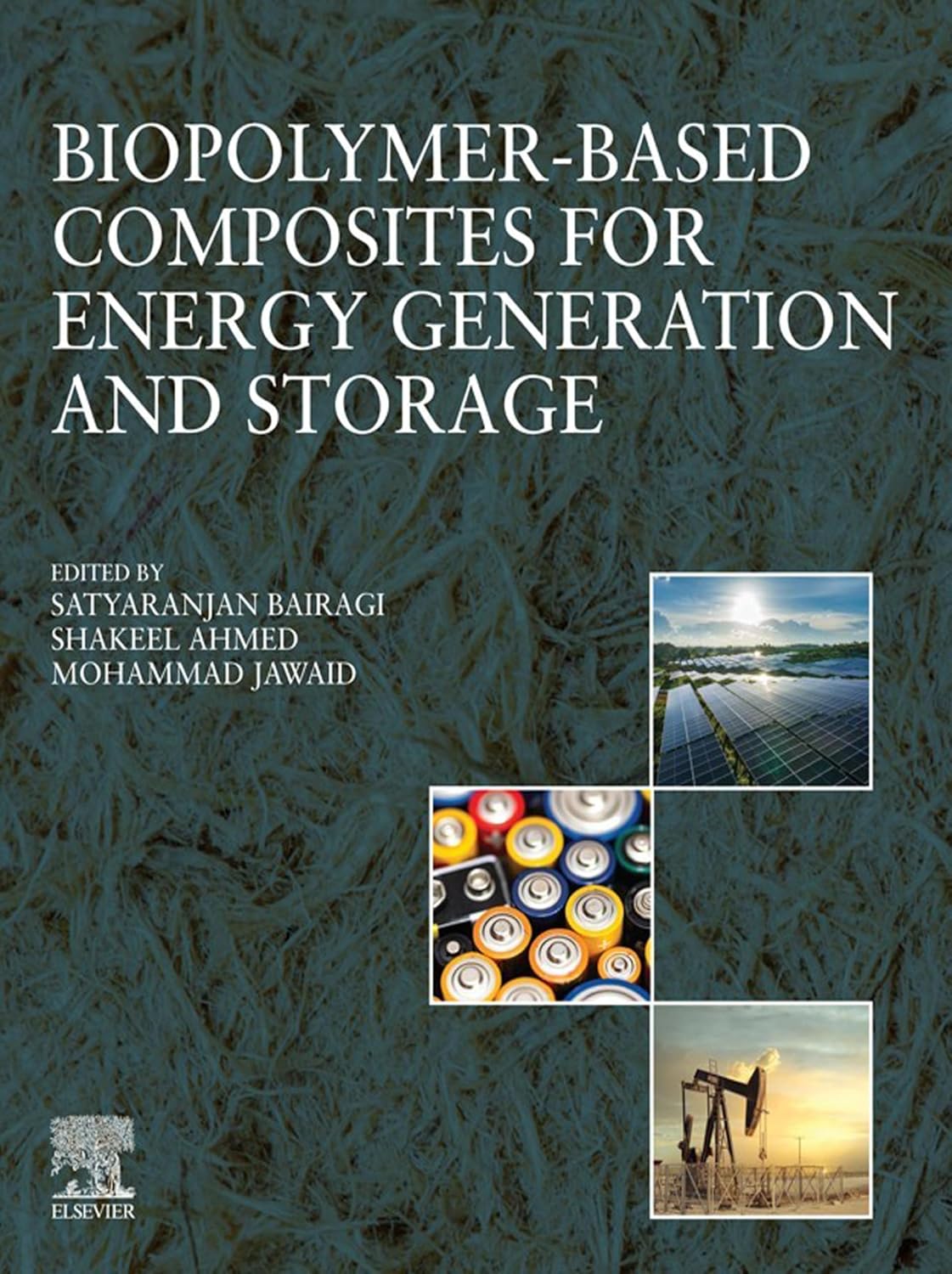 Biopolymer-based Composites for Energy Generation and Storage (English Edition)