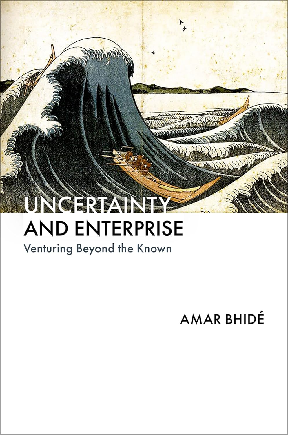 Uncertainty and Enterprise: Venturing Beyond the Known baixar livro de graça