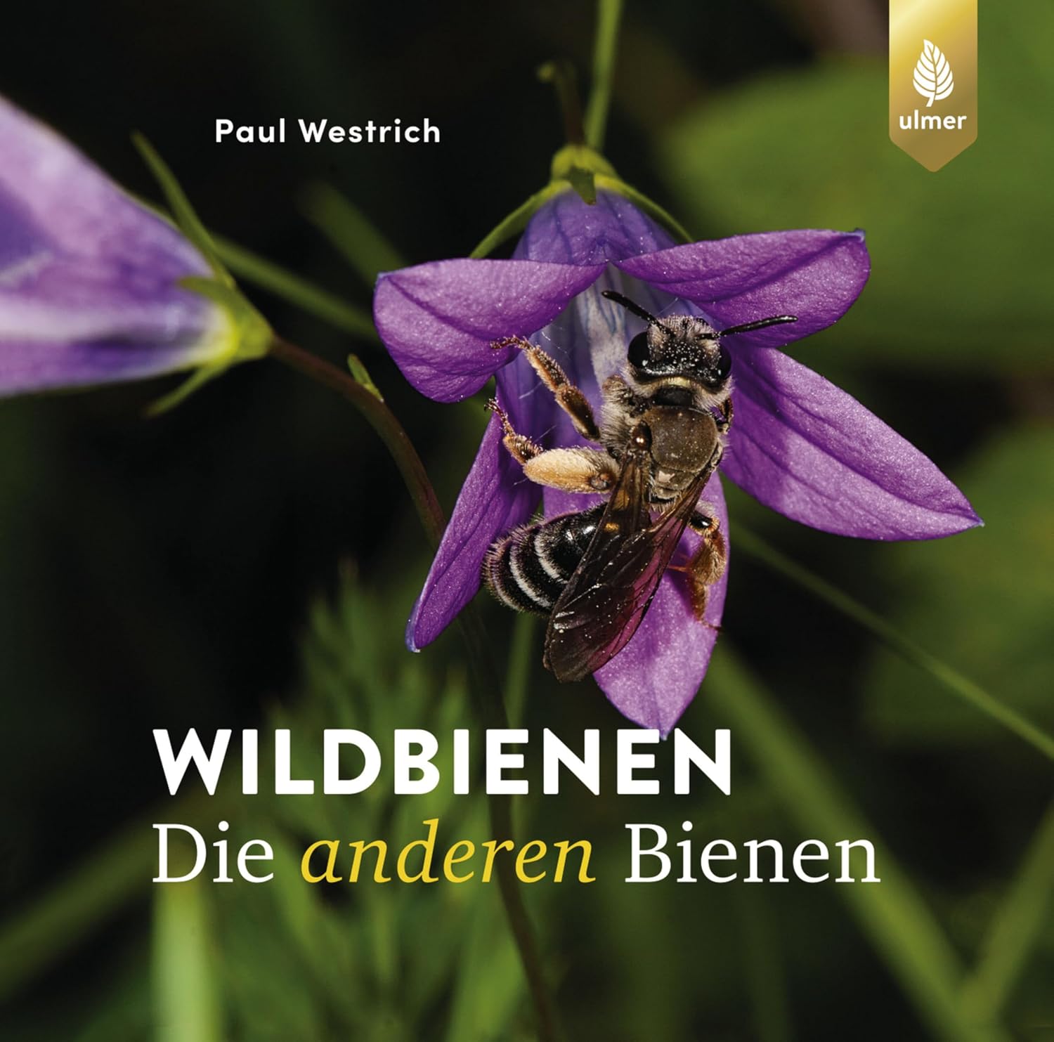 Wildbienen, die anderen Bienen (German Edition) baixar o livro de graça